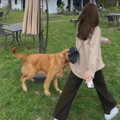 鲁姬哈蒂